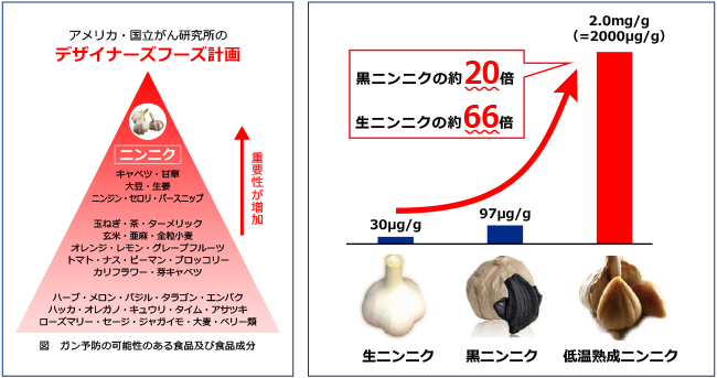 熟成ニンニク画像